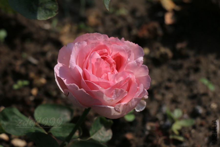 IMG_8160.jpg
