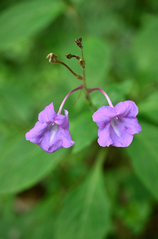 �����ư׽ӹ� (3).JPG