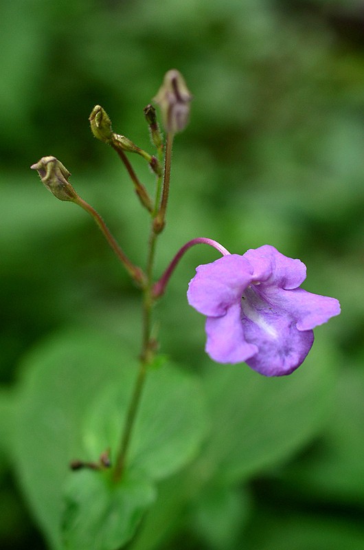 �����ư׽ӹ� (4).JPG