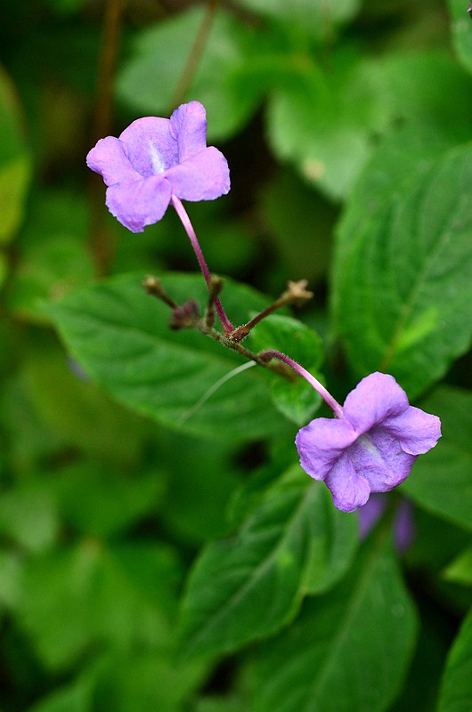 �����ư׽ӹ� (6).JPG