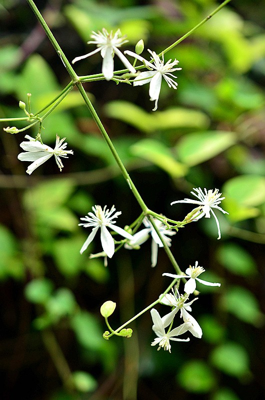 ëݢ�������� (1).JPG