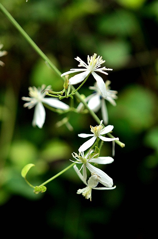 ëݢ�������� (3).JPG