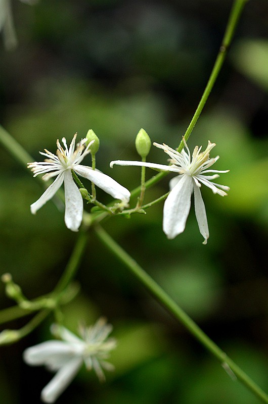 ëݢ�������� (4).JPG