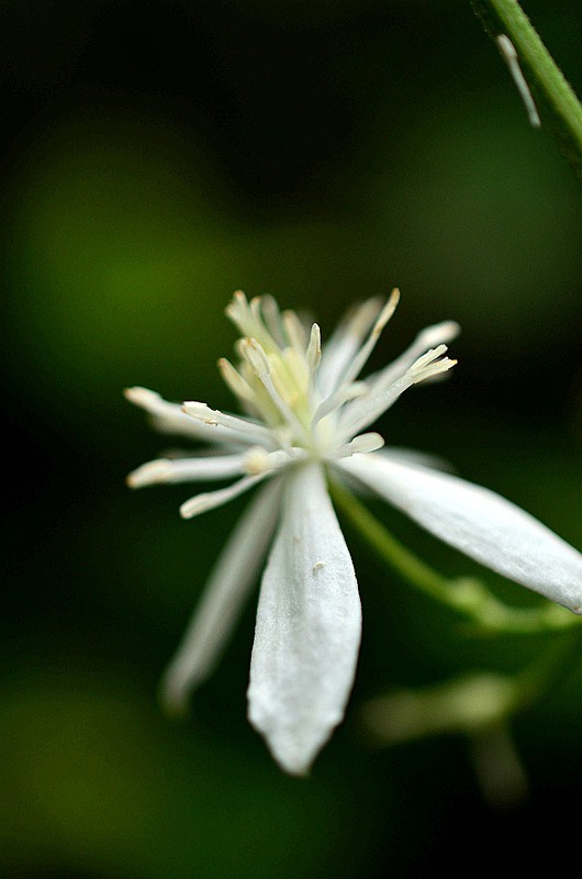 ëݢ�������� (5).JPG