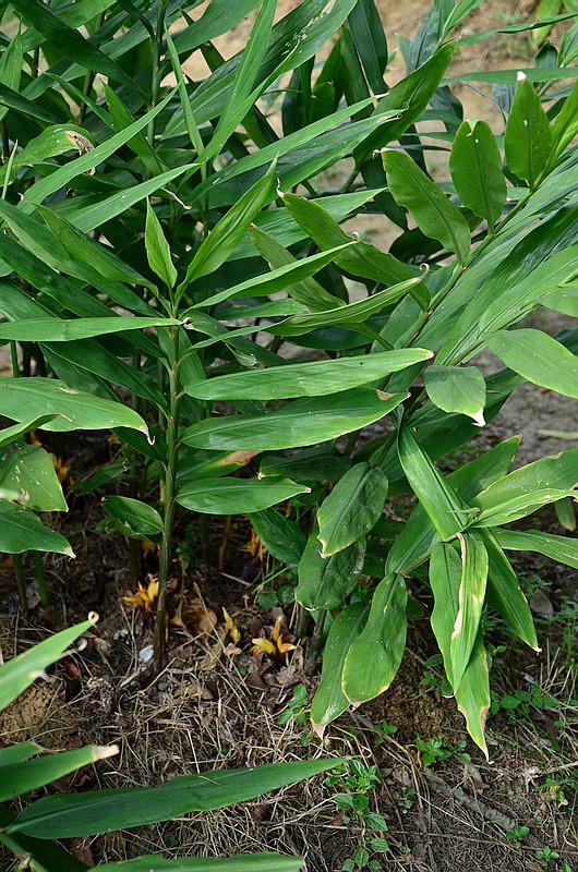 �����Z�� (2).jpg