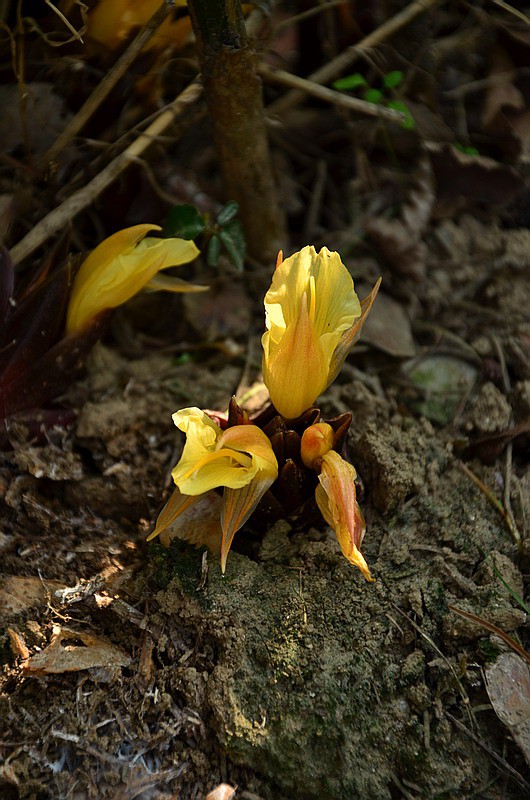 �����Z�� (5).jpg