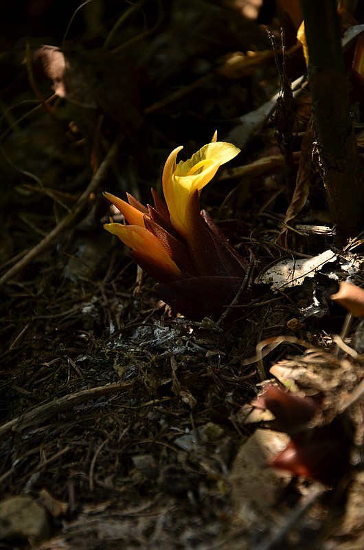 �����Z�� (4).jpg