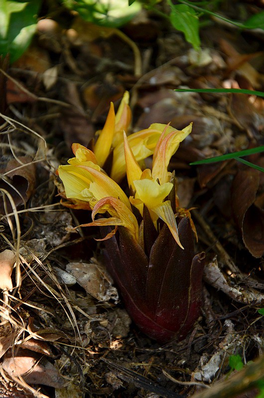 �����Z�� (6).jpg