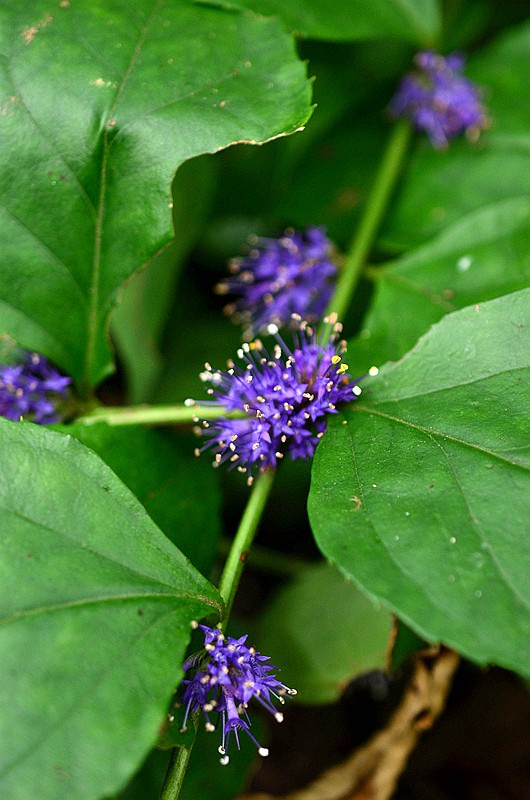 ���ο����Һ� (1).JPG