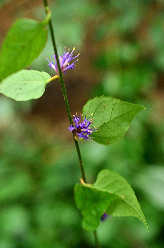 ���ο����Һ� (3).JPG