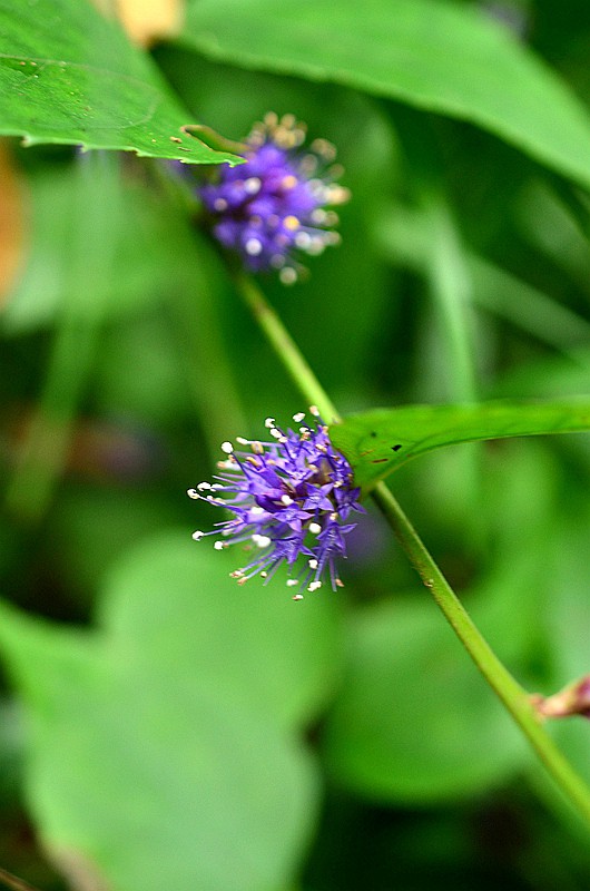 ���ο����Һ� (2).JPG