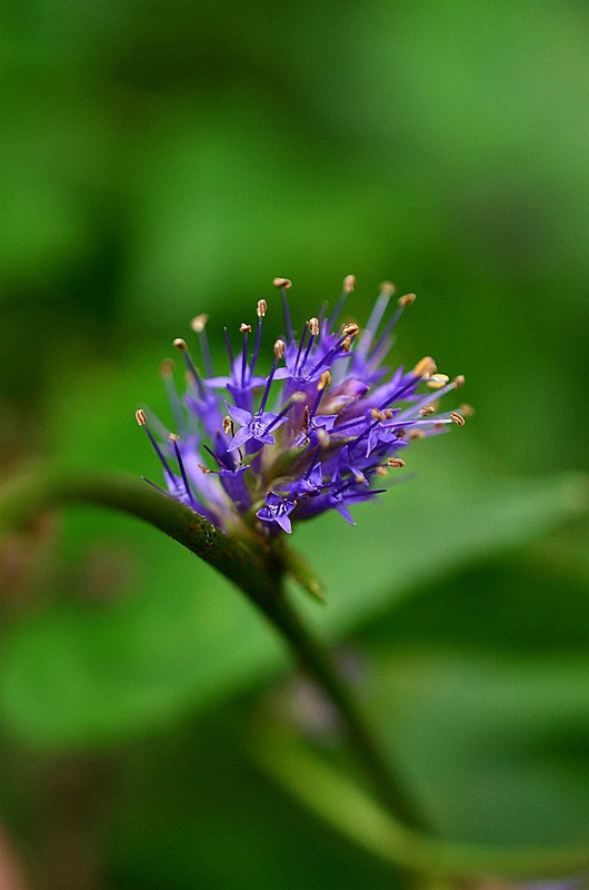 ���ο����Һ� (4).JPG