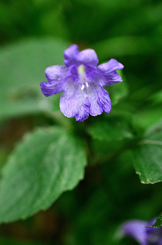 �������ٻ����� (4).JPG