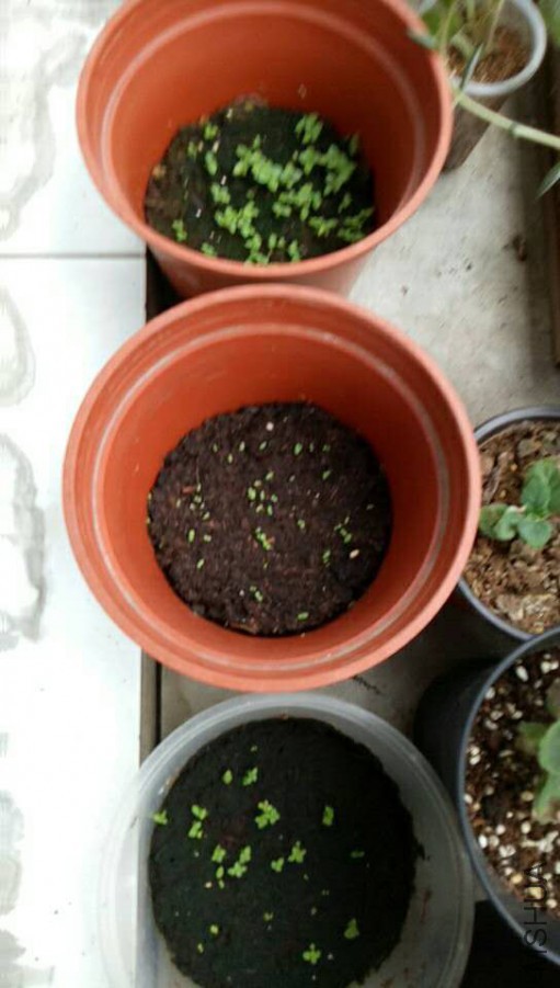 ΢��ͼƬ_20170930145359.jpg