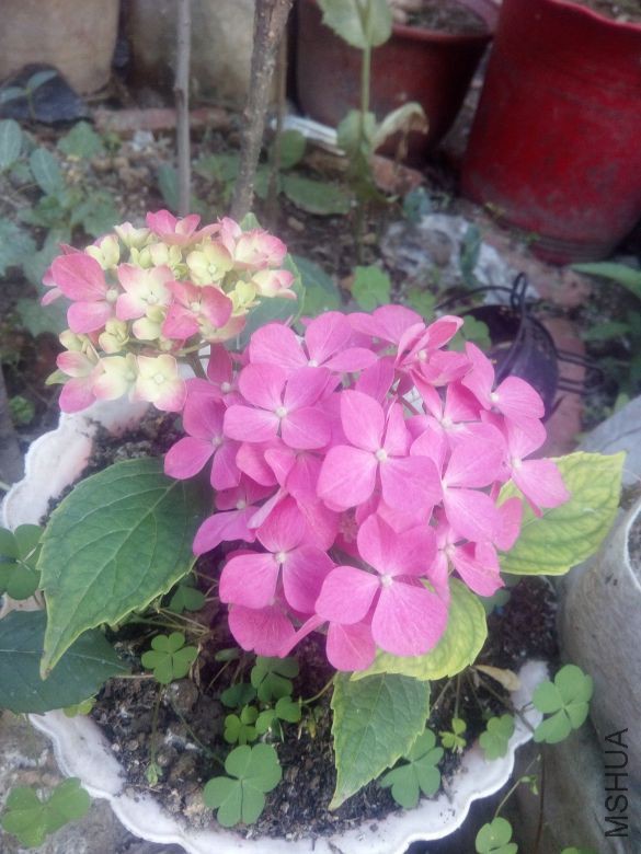 õ������2017