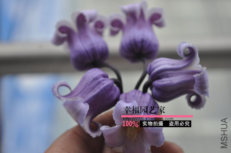 DSC_5036 ����.jpg