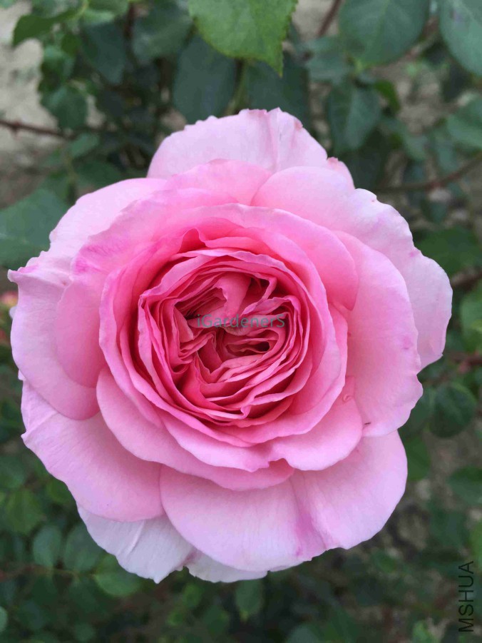 ��Ƭ 046.jpg