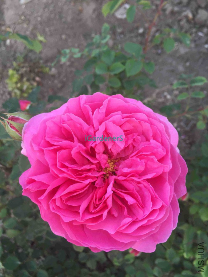 ��Ƭ 040.jpg