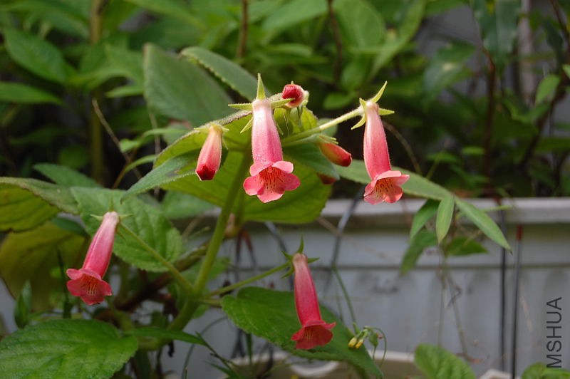 DSC_84400003.JPG
