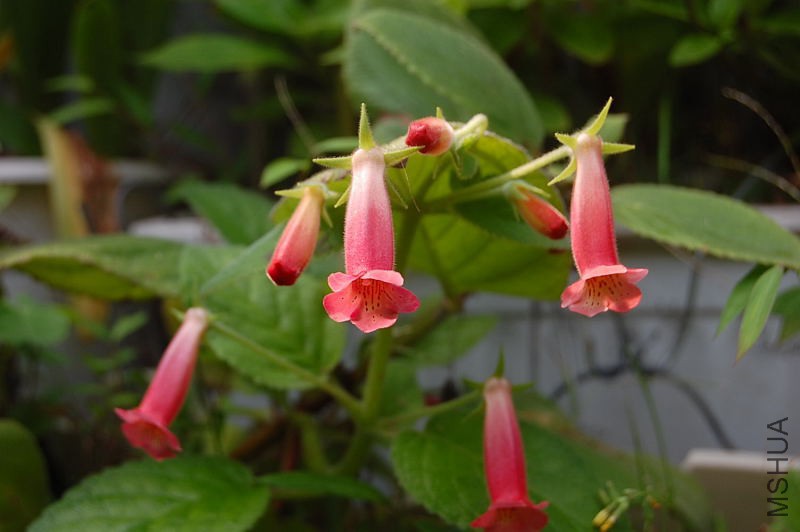 DSC_84560019.JPG