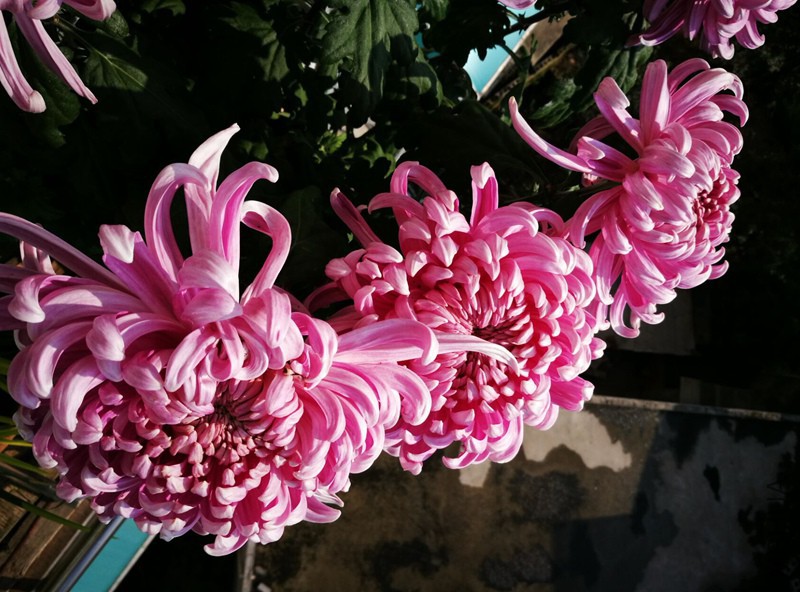 20171009094720.jpg