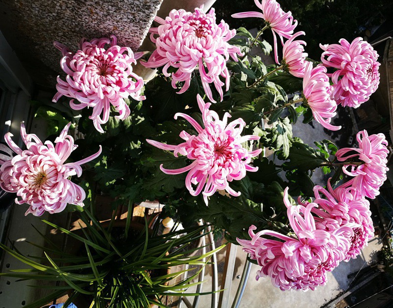 20171009094731.jpg