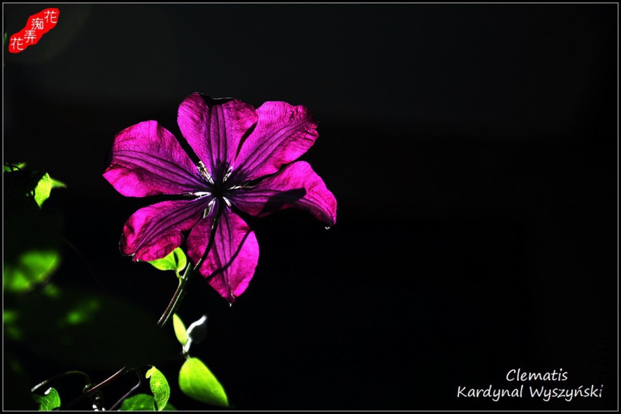 7DSC_8728.jpg