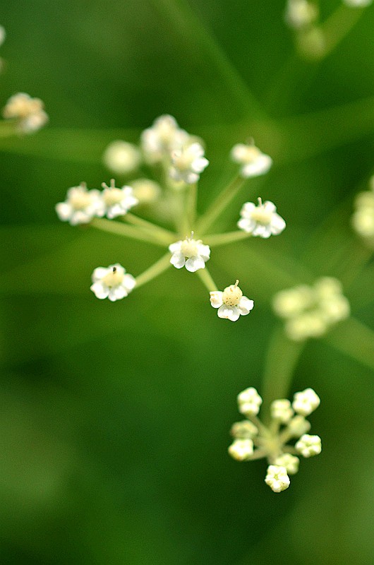 ɡ�οƷ��� (3).JPG