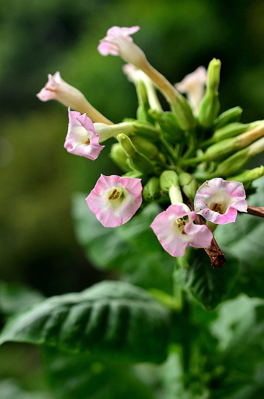 �ѿ��̲� (1)..JPG