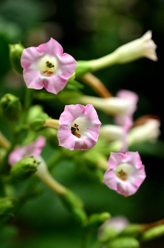 �ѿ��̲� (3).JPG