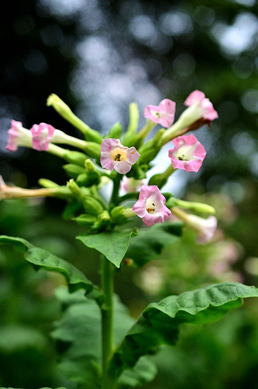 �ѿ��̲� .JPG