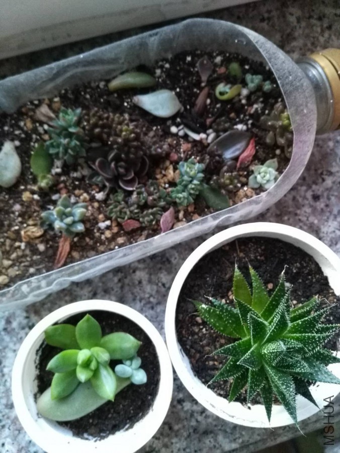 ΢��ͼƬ_20171009211710.jpg