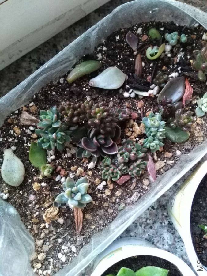 ΢��ͼƬ_20171009211714.jpg