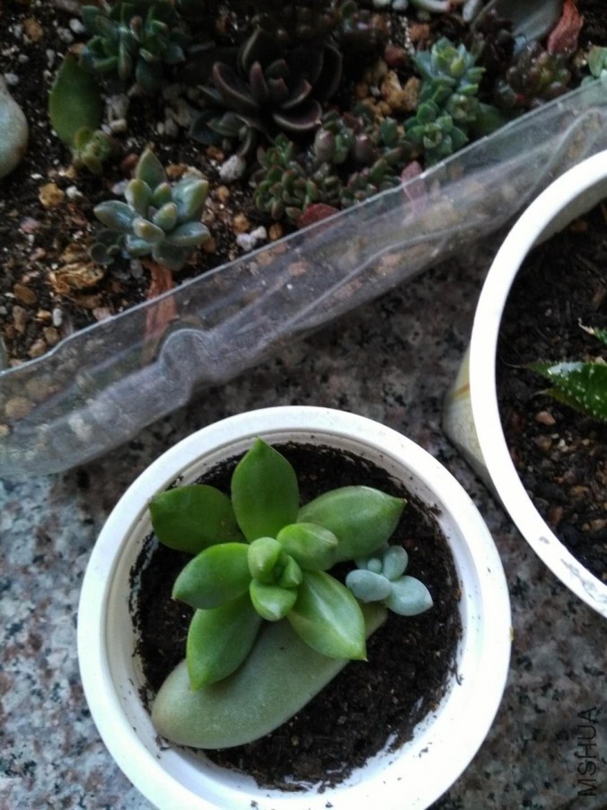 ΢��ͼƬ_20171009211719.jpg