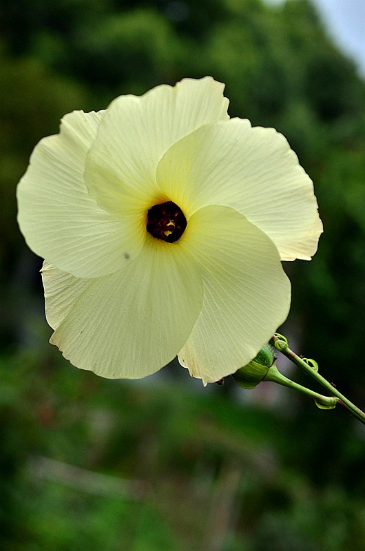 �����ƻ���� (2).JPG