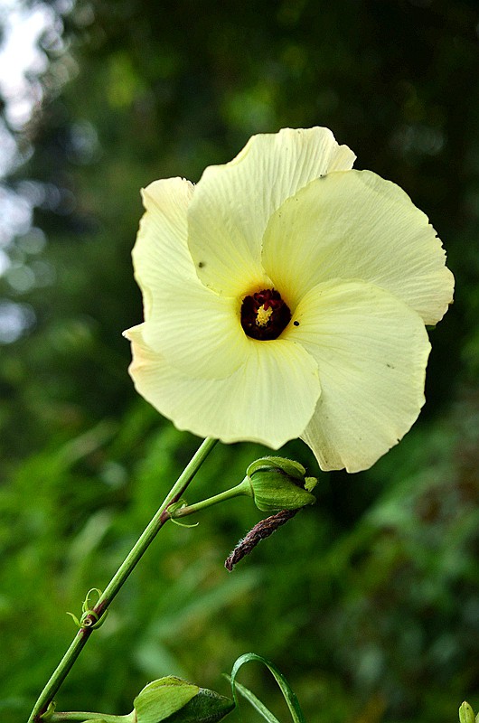 �����ƻ���� (5).JPG