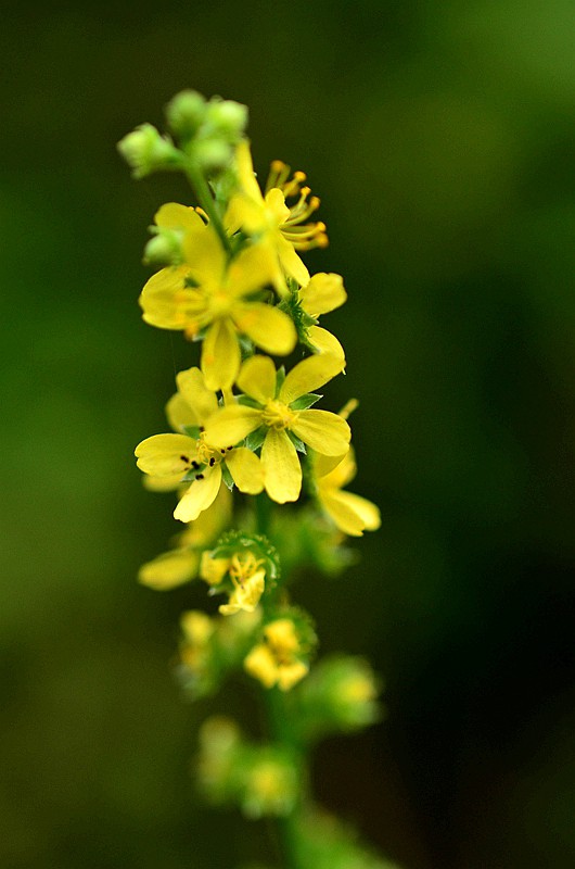 Ǿޱ���ɺײ� (2).JPG