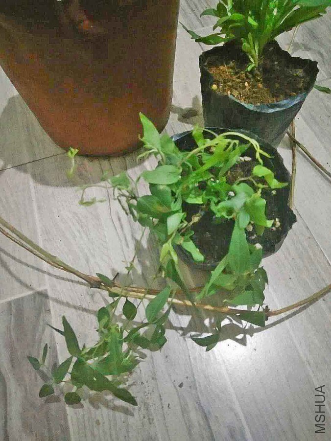 ΢��ͼƬ_20171010222624.jpg