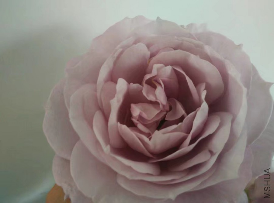 psb (9).jpg