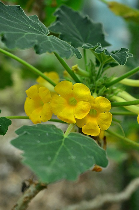 ����ƻƻ����� (1).JPG