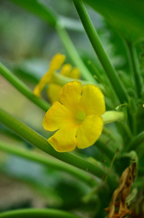 ����ƻƻ����� (2).JPG