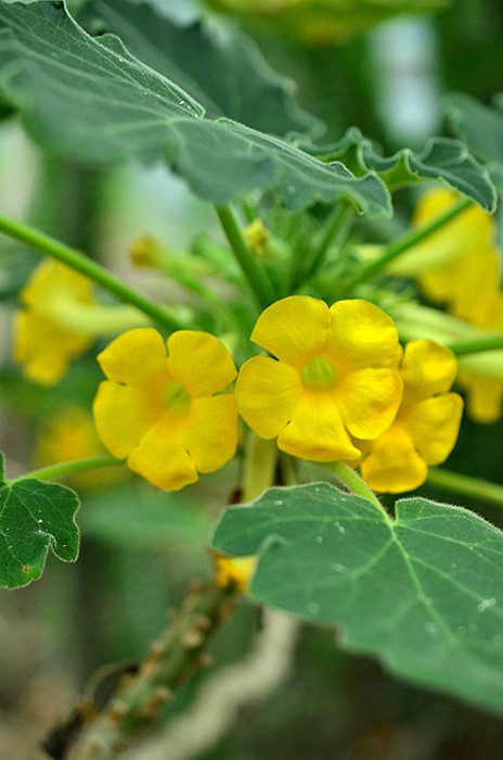 ����ƻƻ����� (4).JPG