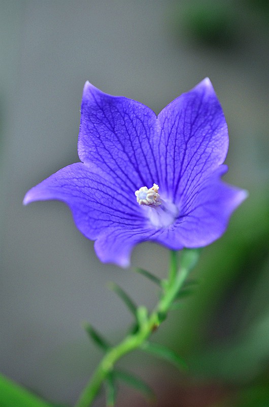 �۹��ƽ۹��� (2).JPG