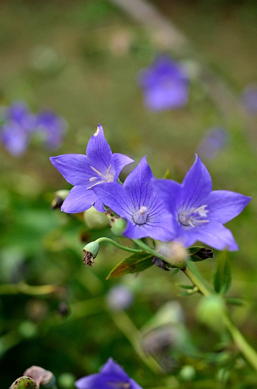 �۹��ƽ۹��� (1).JPG