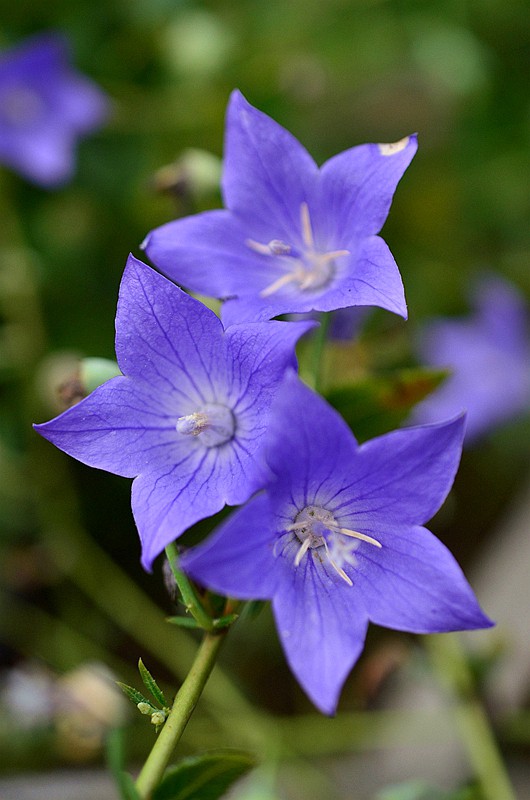 �۹��ƽ۹��� (6).JPG