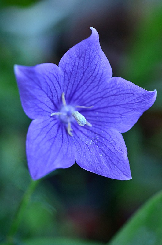 �۹��ƽ۹��� (4).JPG