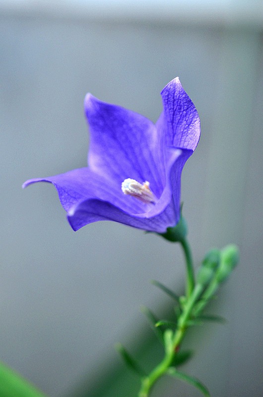 �۹��ƽ۹��� (9).JPG