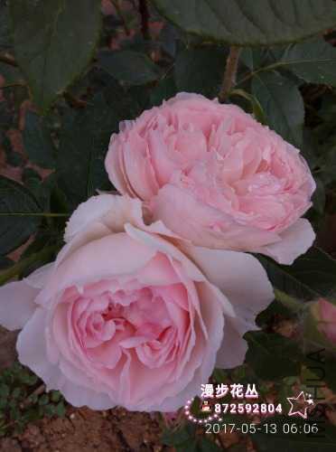 wssy_1494632205703.jpg