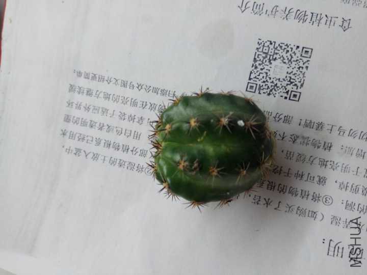 RQ5VKTK]8N59VNSC73]}~W7.jpg