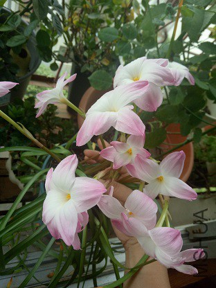 9��Ⱥ��������